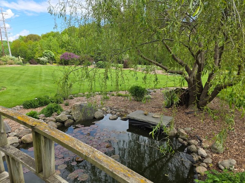 Where the Road Ends and the Magic Begins