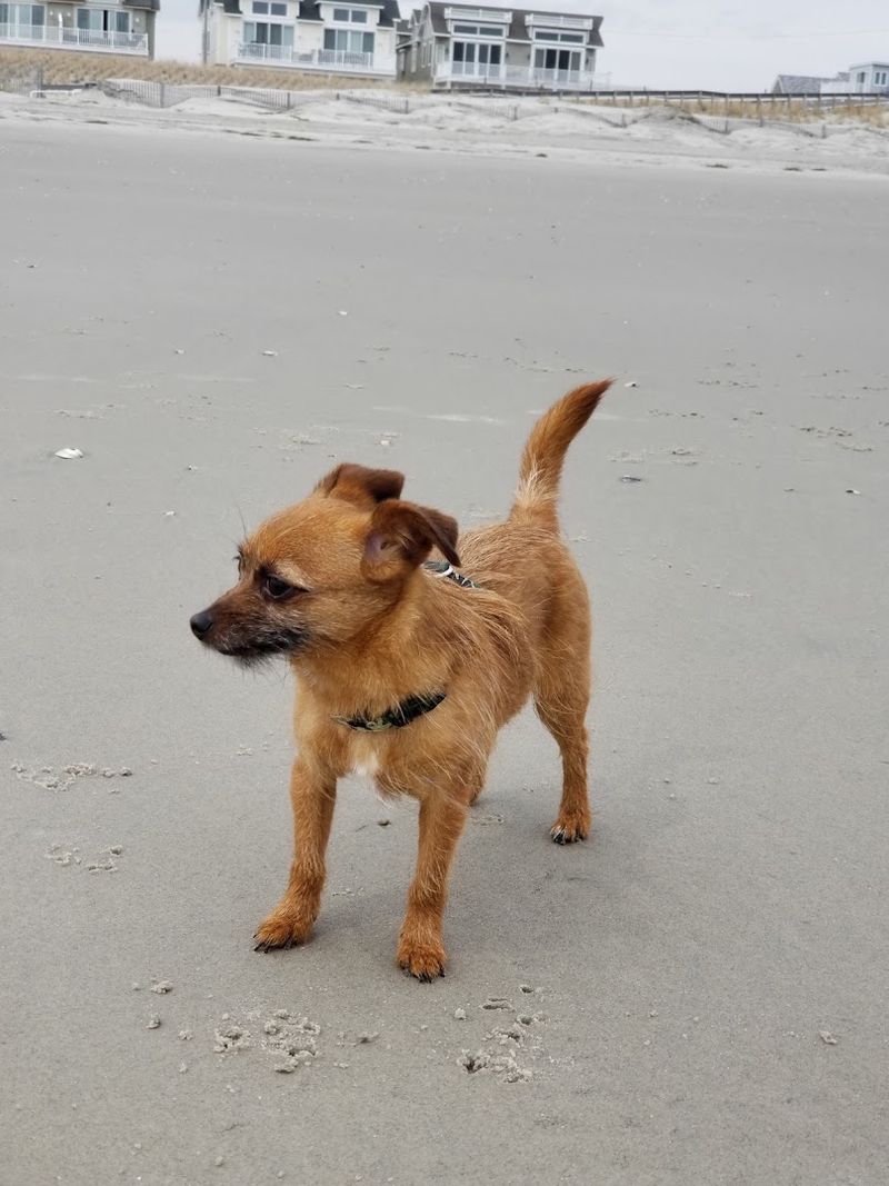 Sea Isle City Beaches, Sea Isle City, NJ