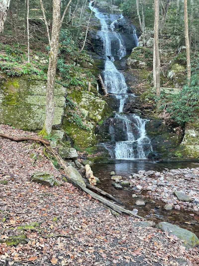 Stokes State Forest, Sussex County