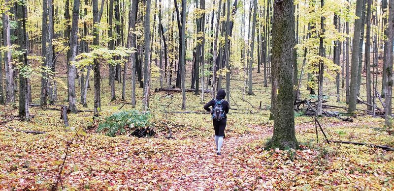 The Wildlife And Wildflowers Are Not Background Extras