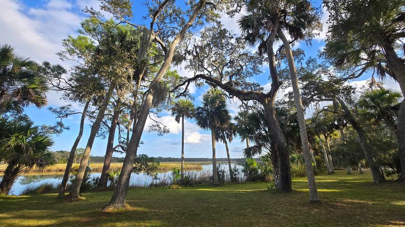 The Setting: Coastal Hammock Forest and Natural Beauty