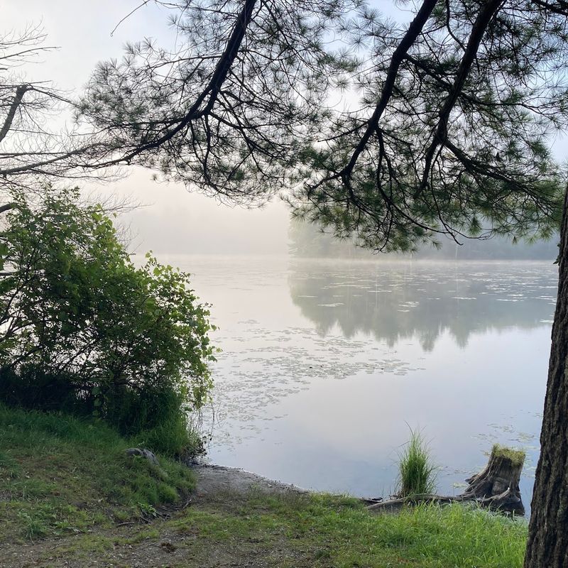 Swimming in Clean, Calm Water