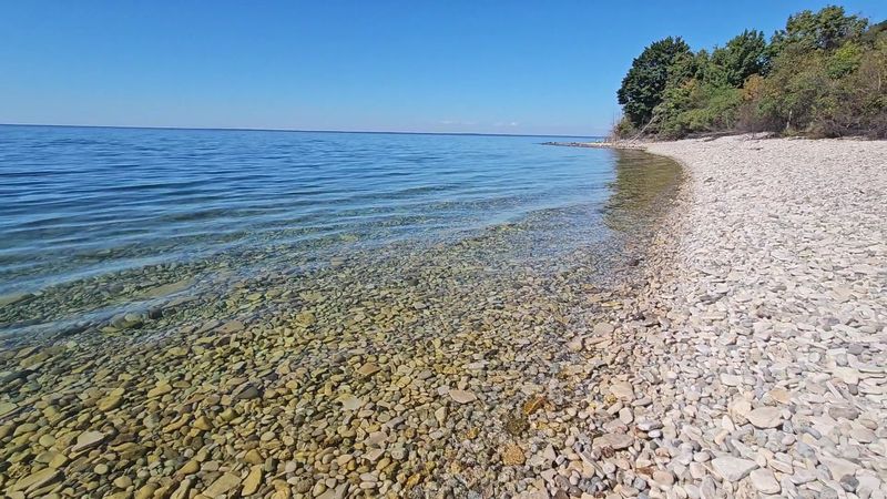 Rocky Shoreline Treasures Worth Bending Down For