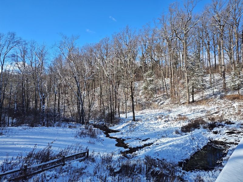 Cross-Country Skiing and Winter Activities