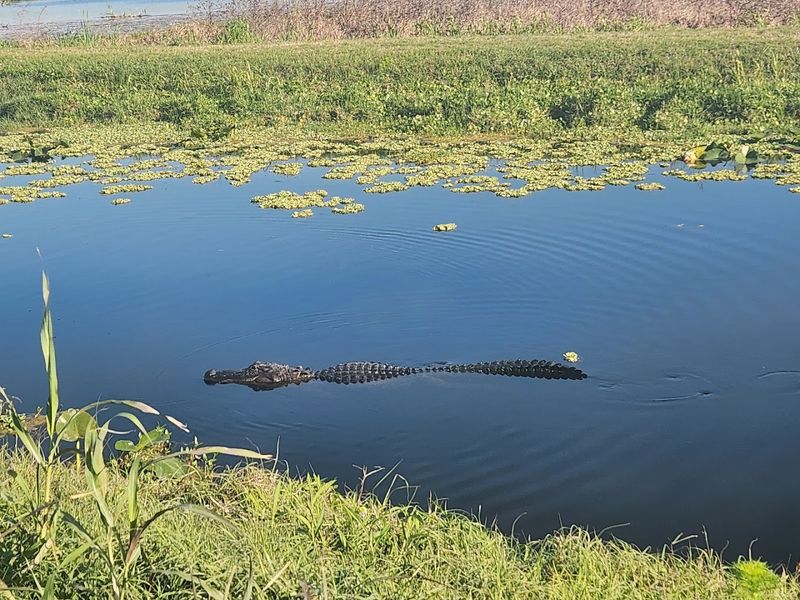 Visiting with Kids and Families
