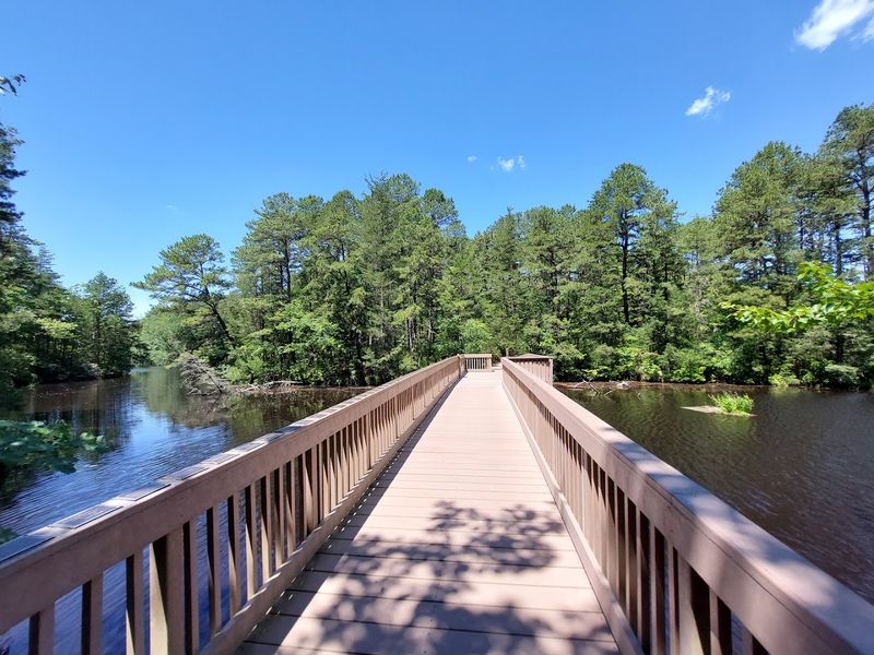 The Wooden Bridge and the Lake That Slows Everything Down