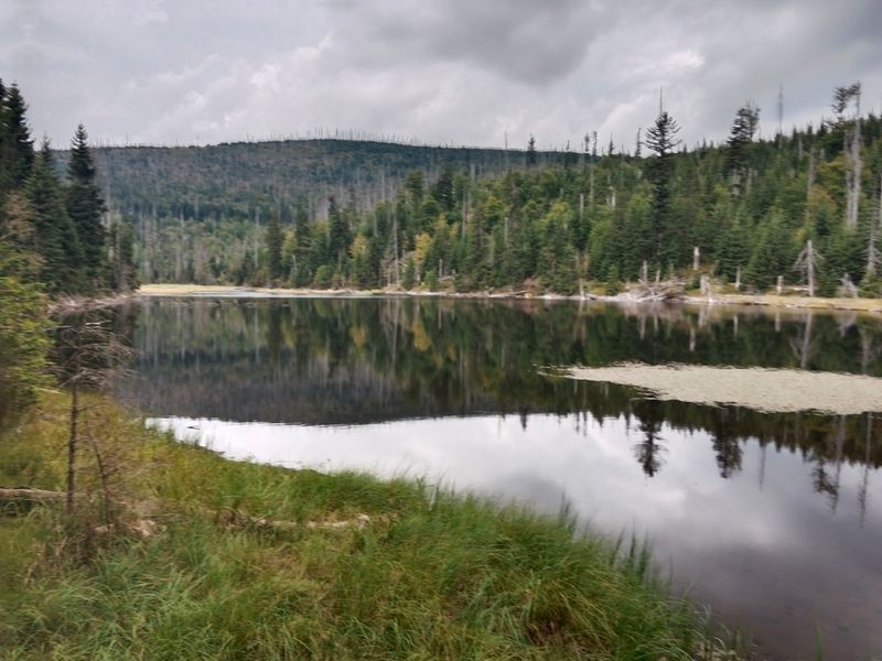 Šumava National Park, Czechia