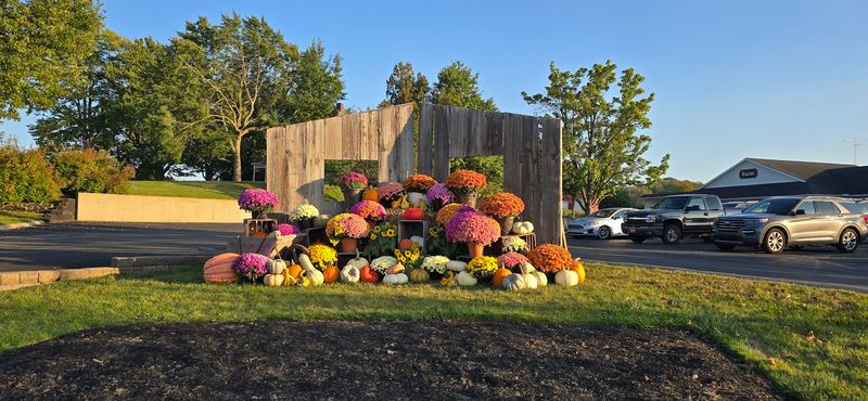 Pricing, Value, and What Your Dollar Gets You