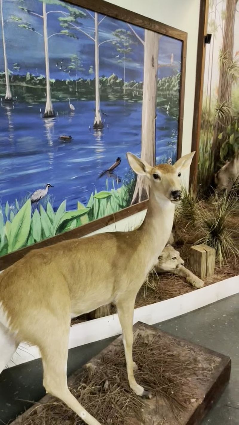 Field Trips and School Groups: Education in Action