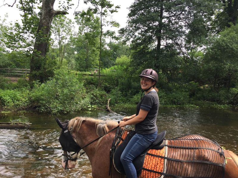 Tips for Planning Your Visit