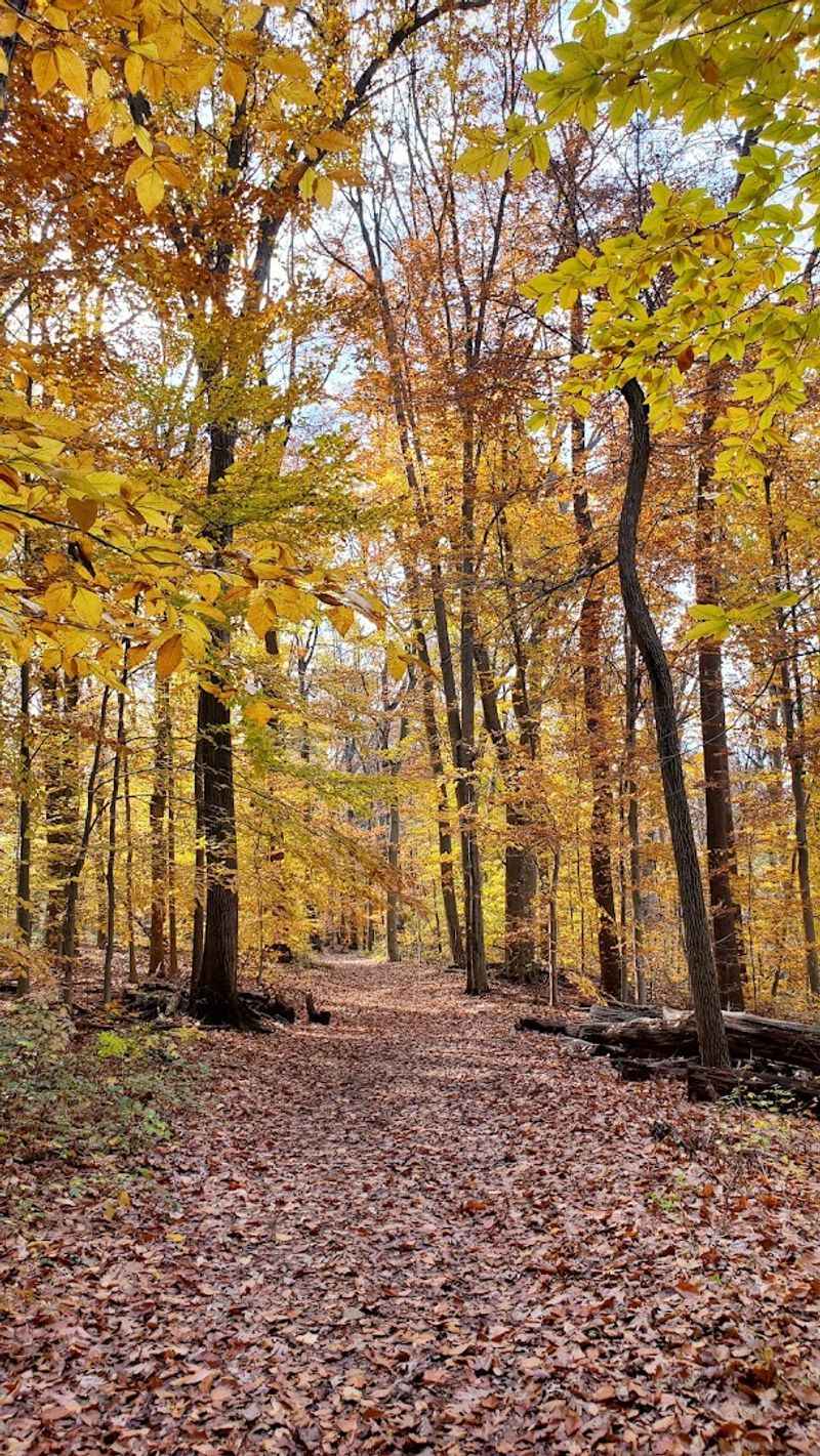 Fall Foliage Season at the Reservation