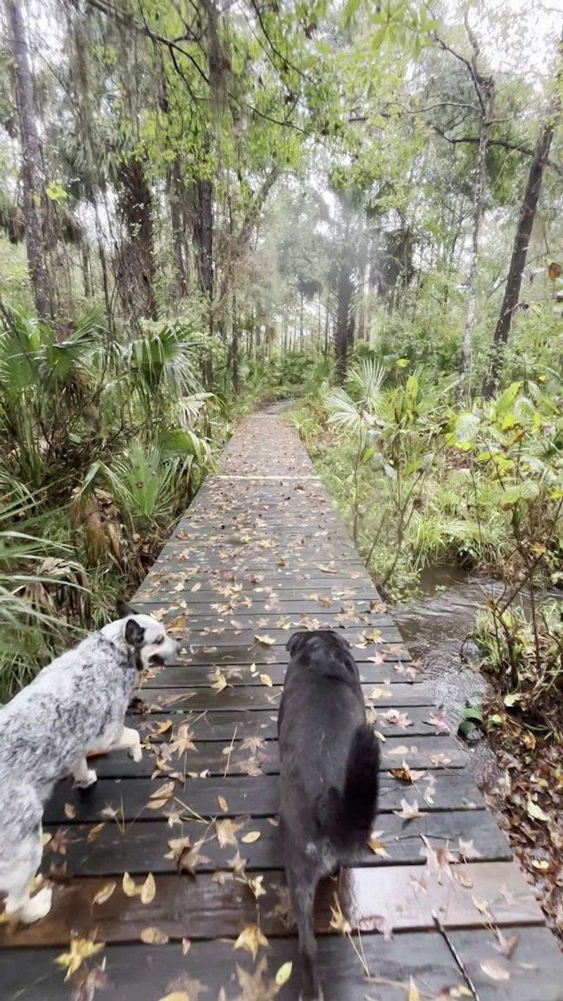 Accessibility and Who This Trail Works Best For