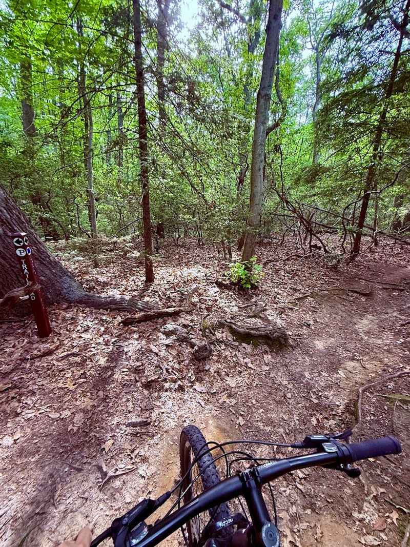 Cycling Through the Park's Multi-Use Trails