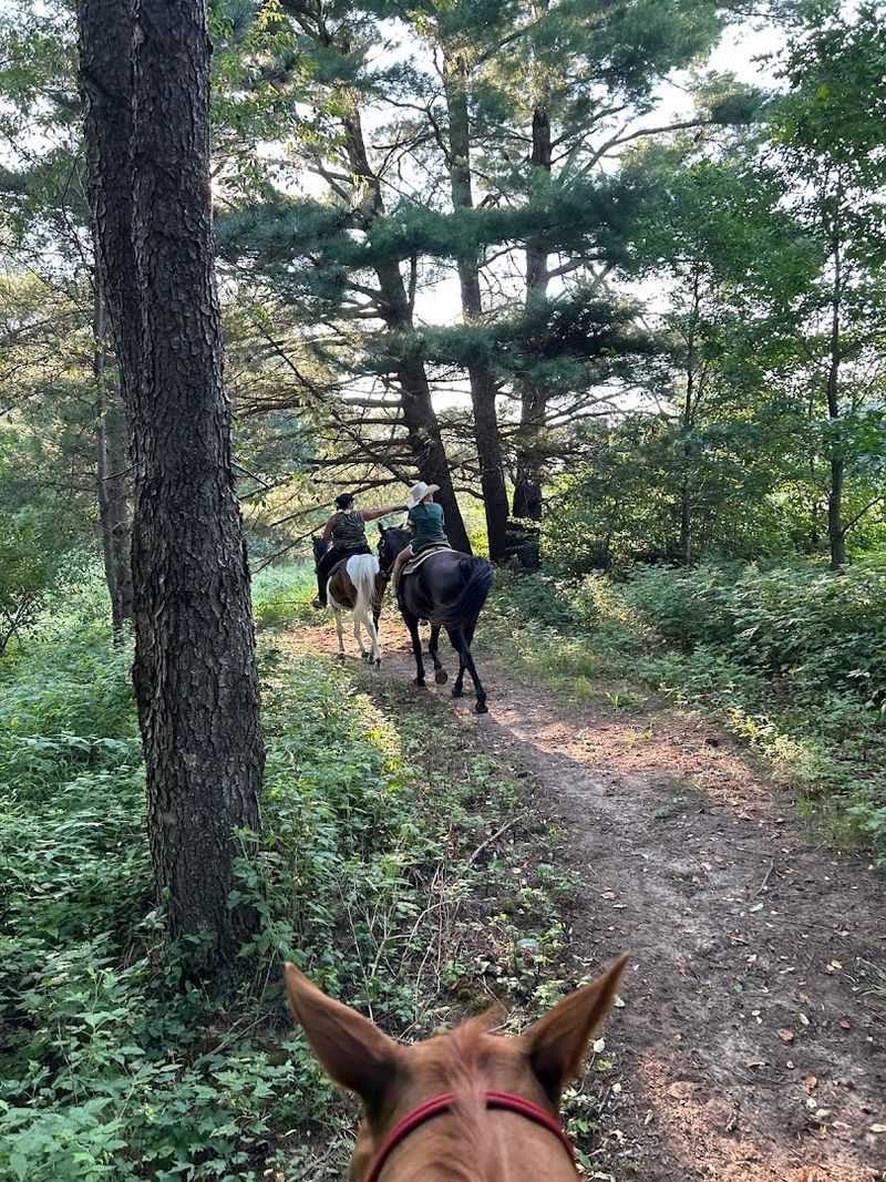 Trails That Wind Through Woods and Open Country