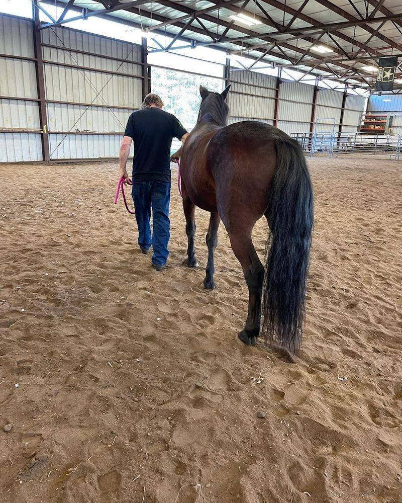 Veterans Finding Peace in an Unexpected Place