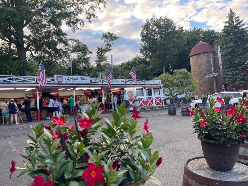 The Setting Around the Stand