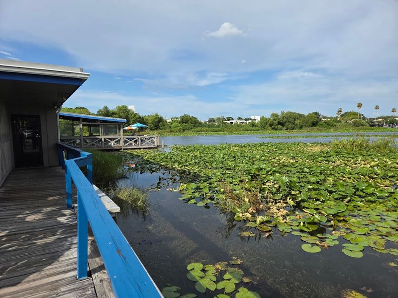 Practical Tips Before You Go