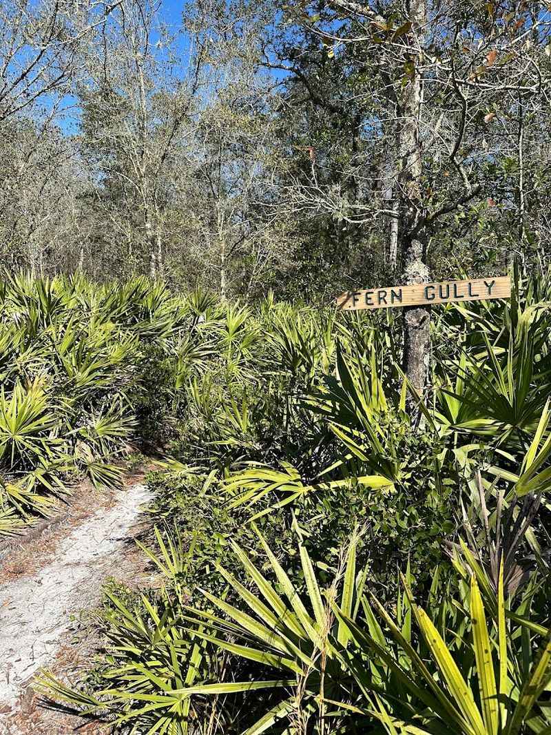 Getting Lost in the Best Possible Way