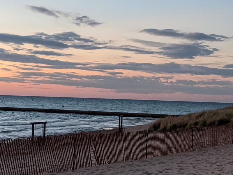 Pet-Friendly Perks That Make Traveling With Dogs Easier