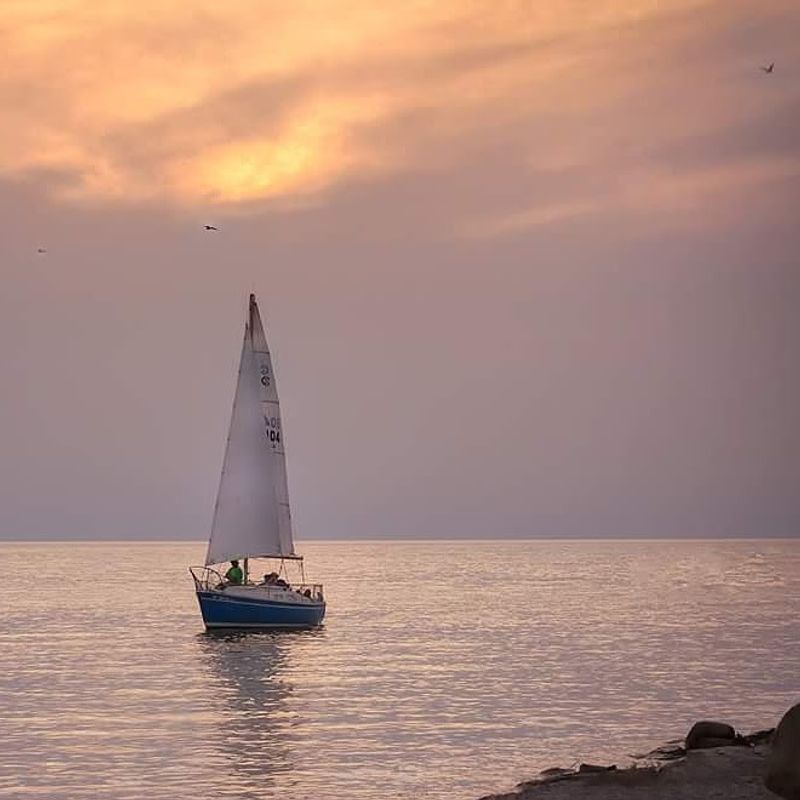 What the Surrounding Caseville Area Offers Visitors