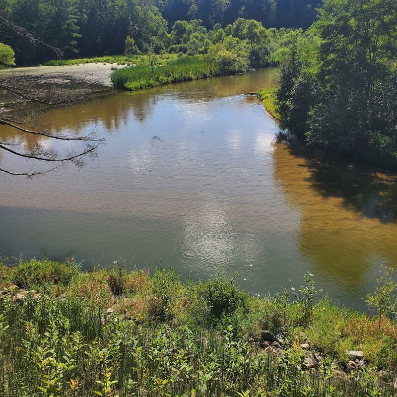 Why This Bridge Deserves a Spot on Your Michigan Bucket List