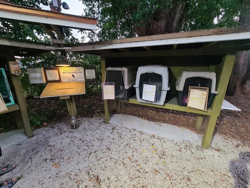 After-Hours Drop-Off: Help Available Around the Clock