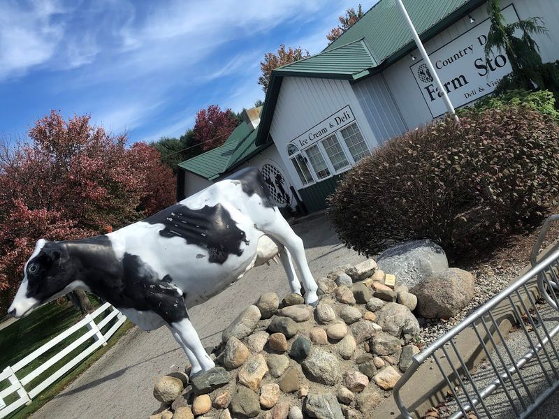 Country Dairy: The Ice Cream Stop You Will Plan Your Whole Ride Around