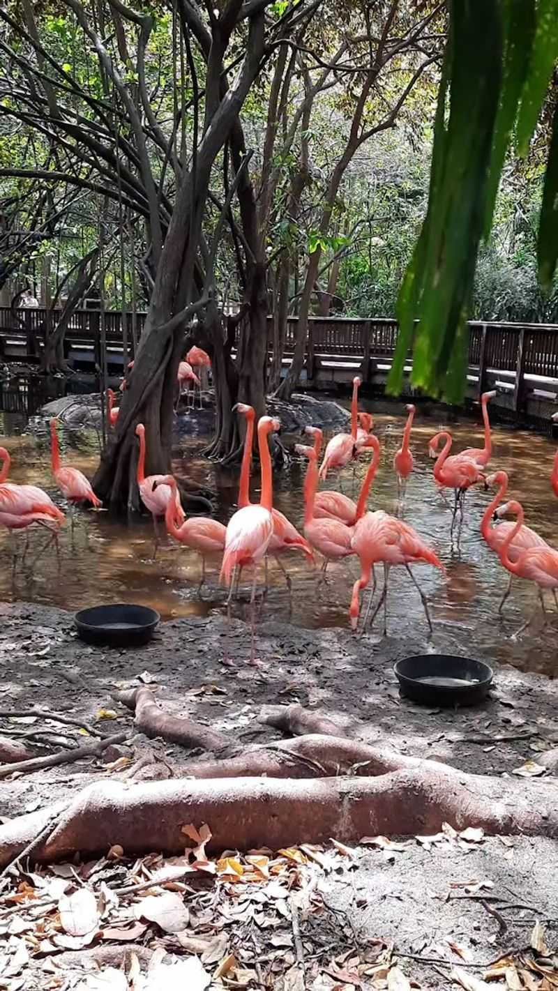 Bringing the Kids Along