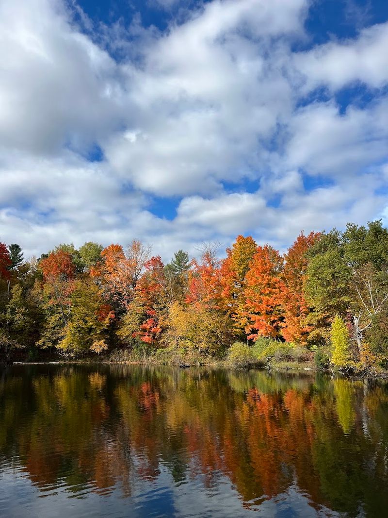 What Makes Fall the Most Popular Season to Visit