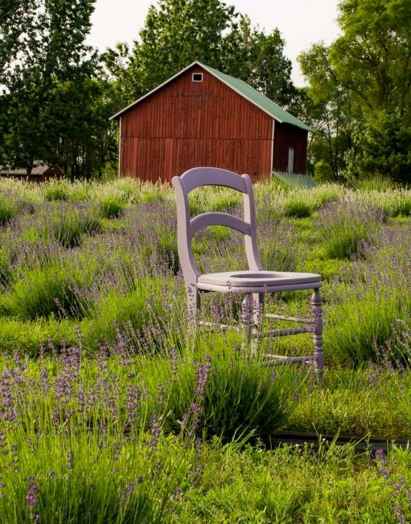 What the Fields Actually Look Like Up Close