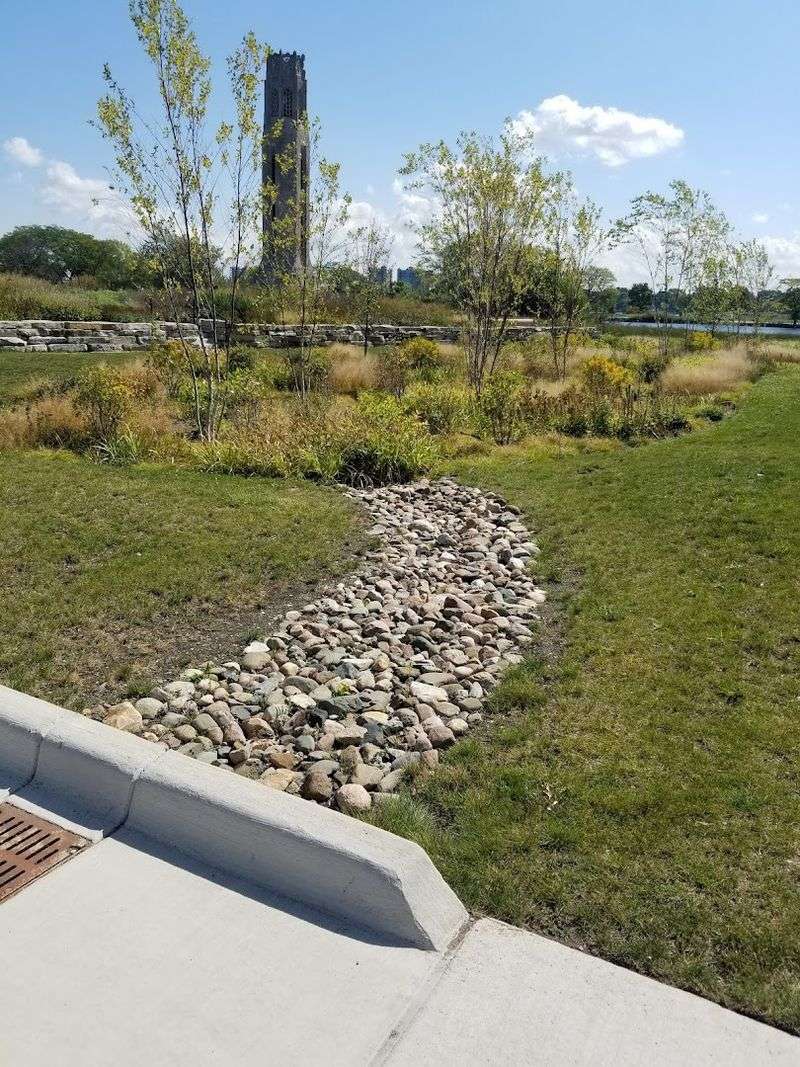 The Rain Garden and Wetland Restoration Underway