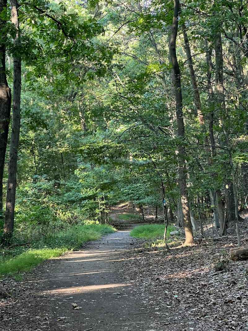 The Trail Network: What to Expect Underfoot