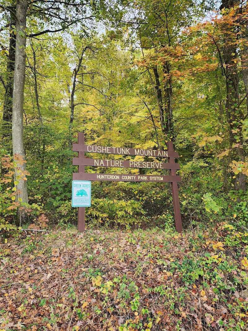 Practical Tips Before You Head Out