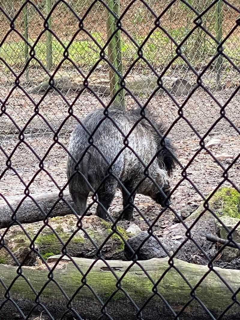 Why This Place Deserves a Spot on Your Florida List