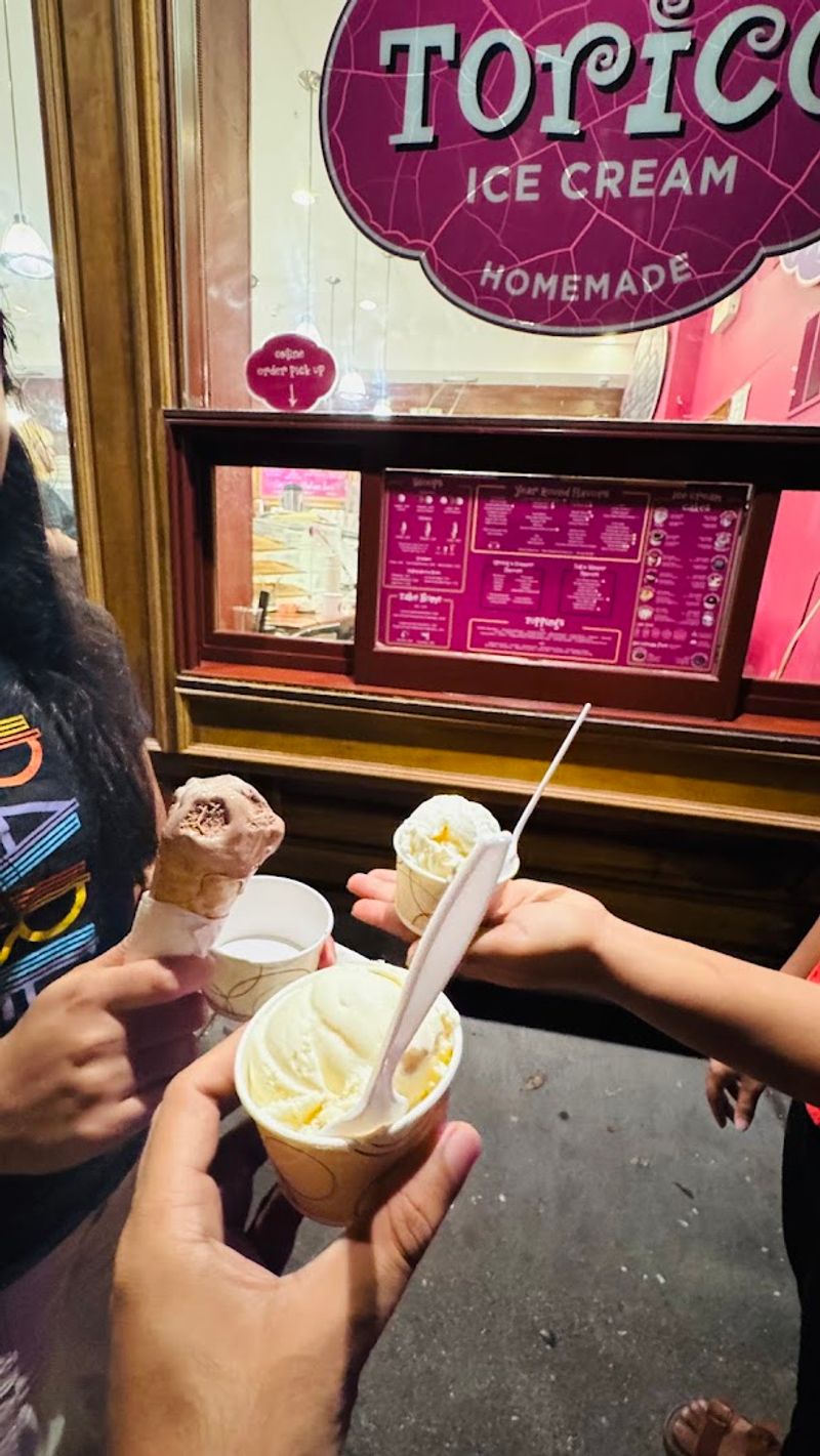 Visiting in Every Season: What to Expect Year-Round