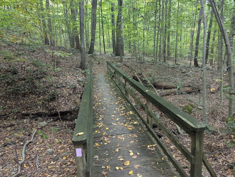 Practical Tips Before You Head Out