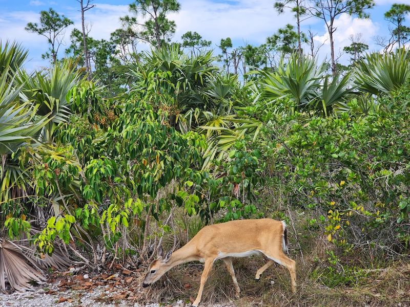 Tips for Getting the Most Out of Your Visit