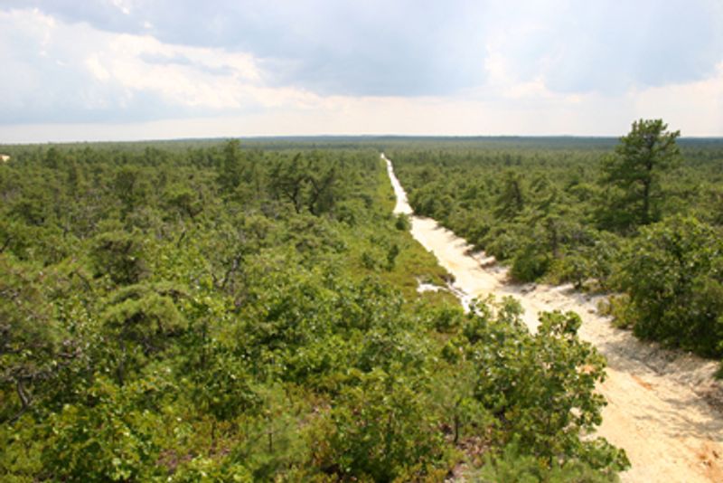 The Soil Secret Behind the Success