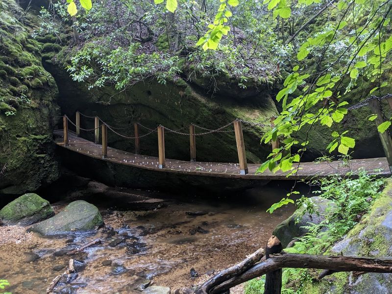 Wildlife, Mushrooms, and Unexpected Discoveries Along the Path