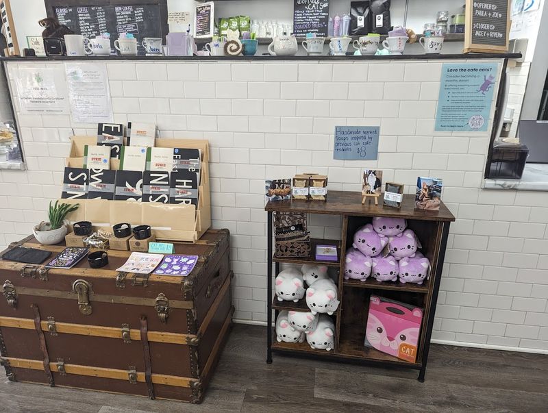 Booking Your Visit and What It Costs