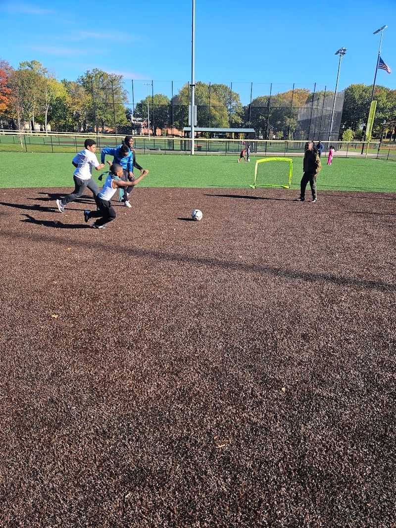 The Sports Scene That Keeps This Park Busy