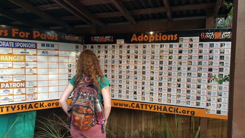 A Nonprofit That Runs on Heart and Community