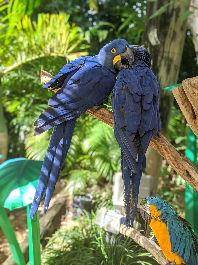 Why This Garden Deserves More Attention