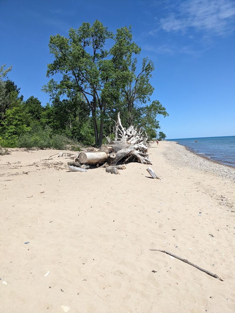 Camping at Lakeport and How It Differs from the Day Use Area