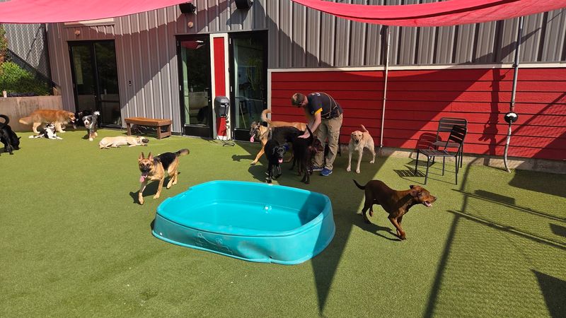 The Outdoor Area That Surprises Most First-Time Visitors