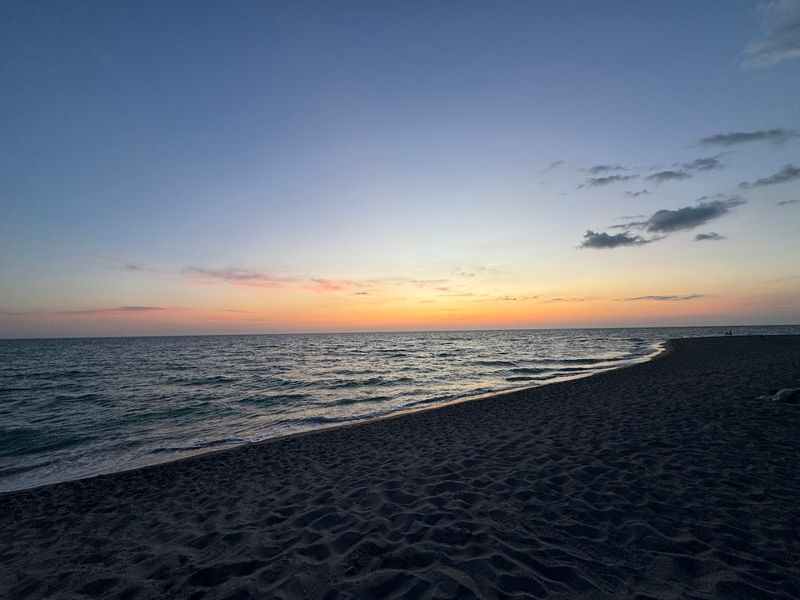 The Best Times to Visit for Maximum Finds