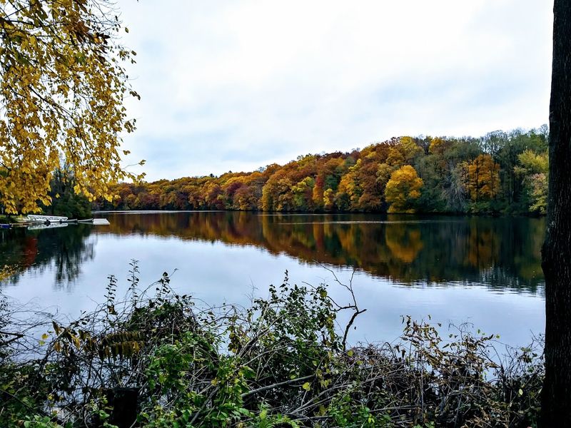 Why Locals Keep Coming Back