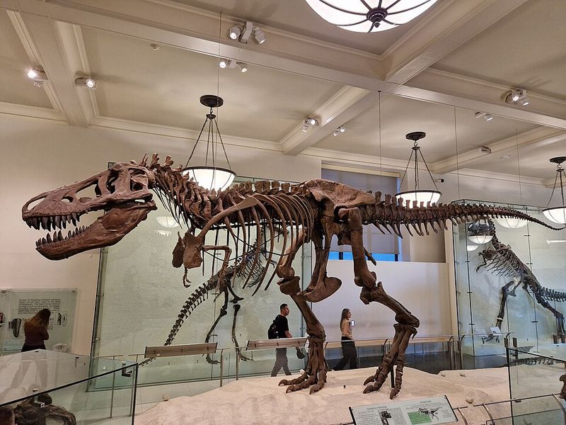 Dinosaurs Were Not All Slow, Cold-Blooded Reptiles