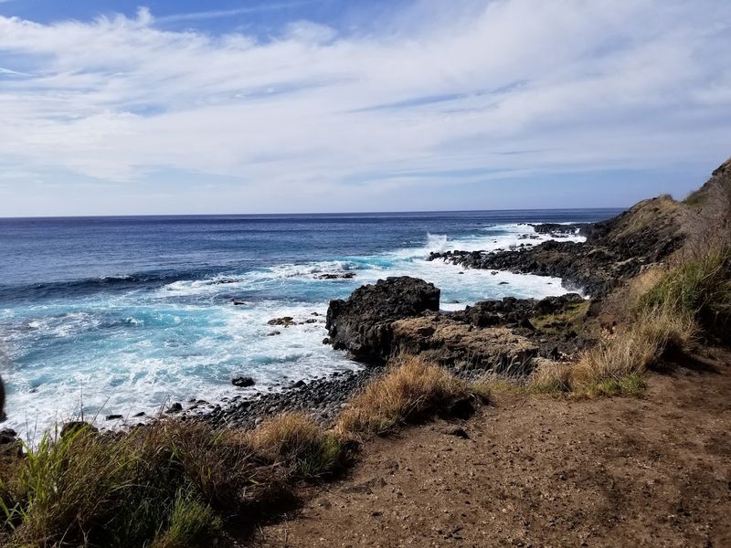 Tide Pools and Lava Rock Exploration