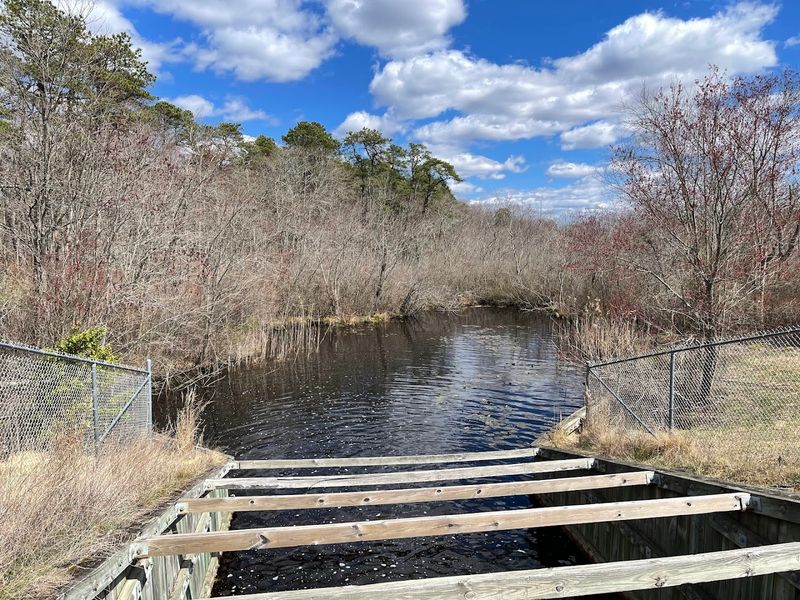 The Public Shooting Range on Site